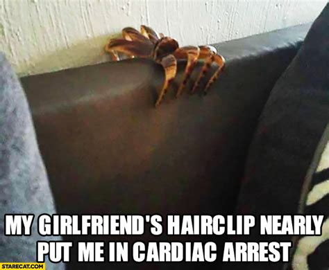Spider hair clip meme. Things To Know About Spider hair clip meme. 